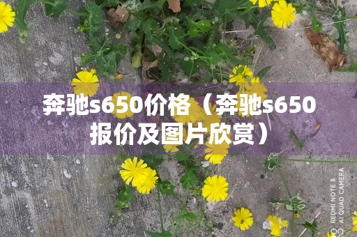 奔驰s650价格（奔驰s650报价及图片欣赏）