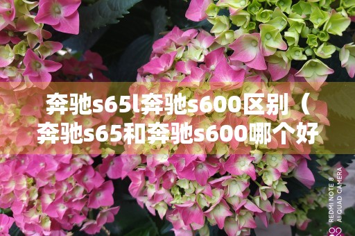 奔驰s65l奔驰s600区别（奔驰s65和奔驰s600哪个好）