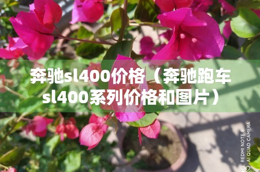 奔驰sl400价格（奔驰跑车sl400系列价格和图片）