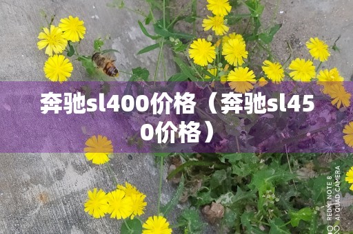 奔驰sl400价格（奔驰sl450价格）