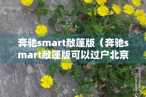 奔驰smart敞篷版（奔驰smart敞篷版可以过户北京吗）