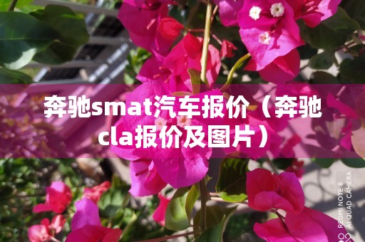 奔驰smat汽车报价（奔驰cla报价及图片）