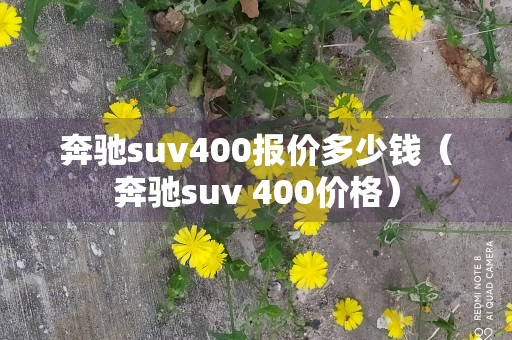 奔驰suv400报价多少钱（奔驰suv 400价格）