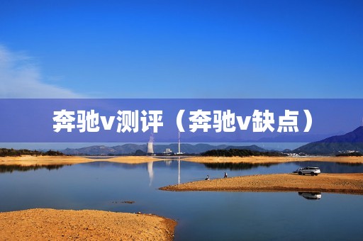 奔驰v测评（奔驰v缺点）