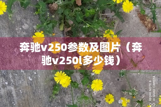 奔驰v250参数及图片（奔驰v250l多少钱）