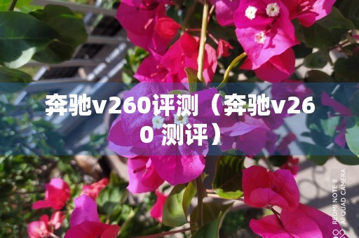 奔驰v260评测（奔驰v260 测评）