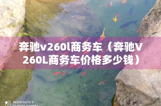 奔驰v260l商务车（奔驰V260L商务车价格多少钱）