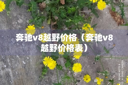 奔驰v8越野价格（奔驰v8越野价格表）