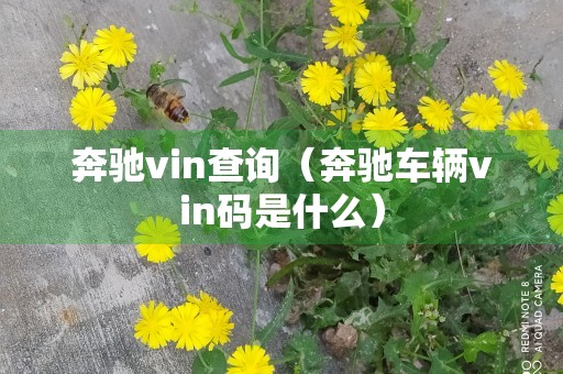 奔驰vin查询（奔驰车辆vin码是什么）