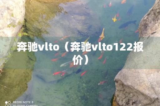 奔驰vlto（奔驰vlto122报价）