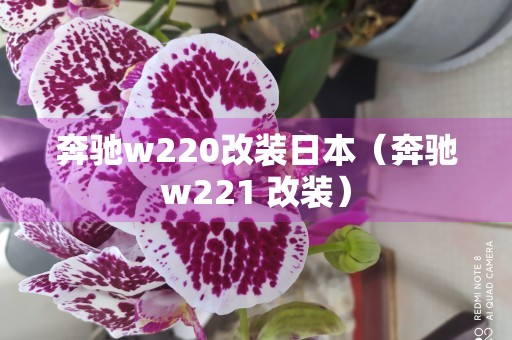 奔驰w220改装日本（奔驰w221 改装）