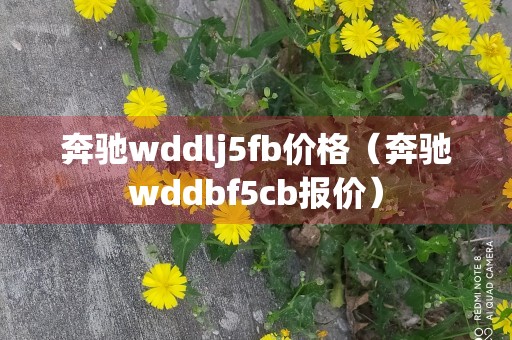 奔驰wddlj5fb价格（奔驰wddbf5cb报价）