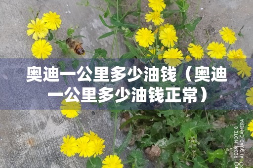 奥迪一公里多少油钱（奥迪一公里多少油钱正常）