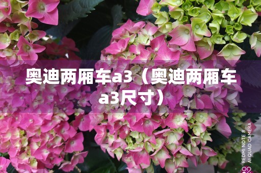 奥迪两厢车a3（奥迪两厢车a3尺寸）