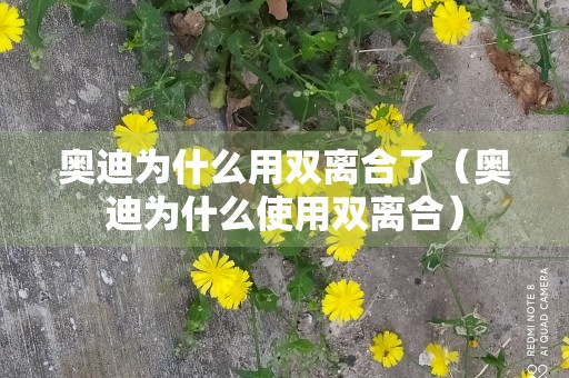 奥迪为什么用双离合了（奥迪为什么使用双离合）