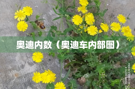 奥迪内数（奥迪车内部图）