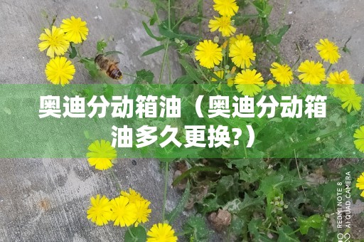 奥迪分动箱油（奥迪分动箱油多久更换?）