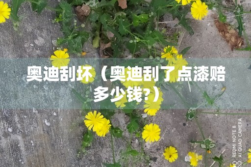 奥迪刮坏（奥迪刮了点漆赔多少钱?）