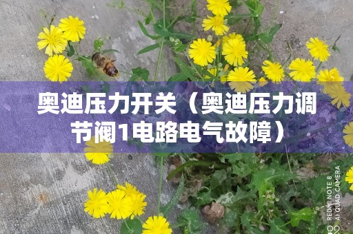 奥迪压力开关（奥迪压力调节阀1电路电气故障）