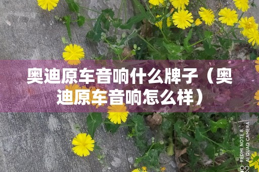 奥迪原车音响什么牌子（奥迪原车音响怎么样）