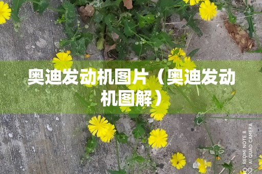 奥迪发动机图片（奥迪发动机图解）