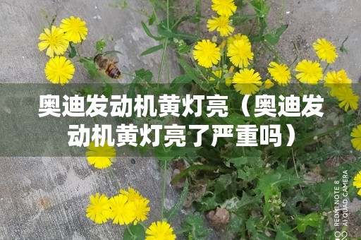 奥迪发动机黄灯亮（奥迪发动机黄灯亮了严重吗）