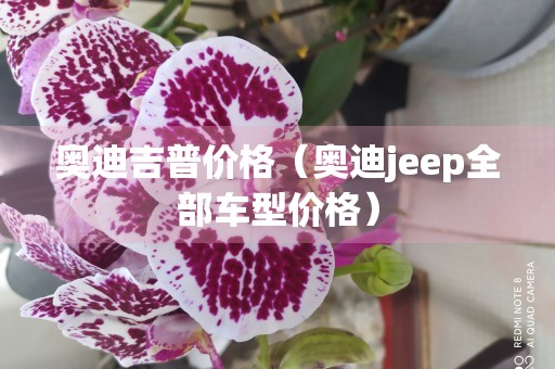 奥迪吉普价格（奥迪jeep全部车型价格）