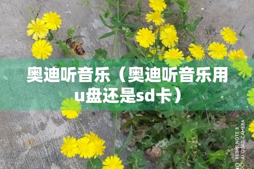 奥迪听音乐（奥迪听音乐用u盘还是sd卡）