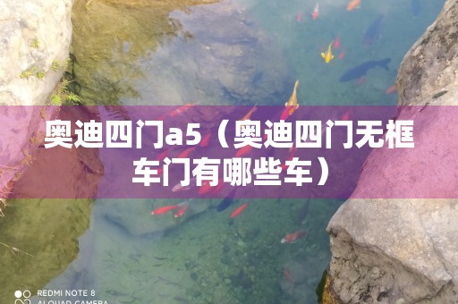 奥迪四门a5（奥迪四门无框车门有哪些车）