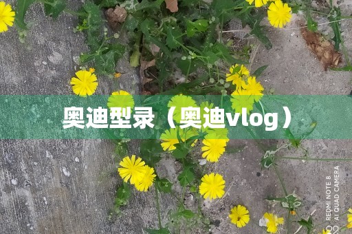 奥迪型录（奥迪vlog）