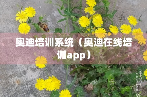 奥迪培训系统（奥迪在线培训app）