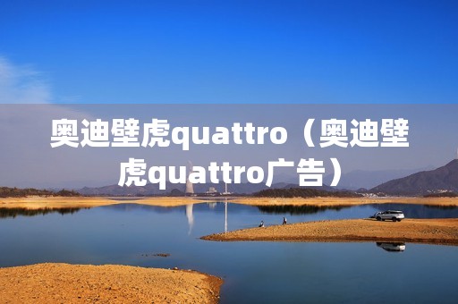 奥迪壁虎quattro（奥迪壁虎quattro广告）