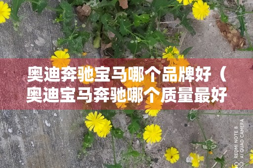 奥迪奔驰宝马哪个品牌好（奥迪宝马奔驰哪个质量最好）