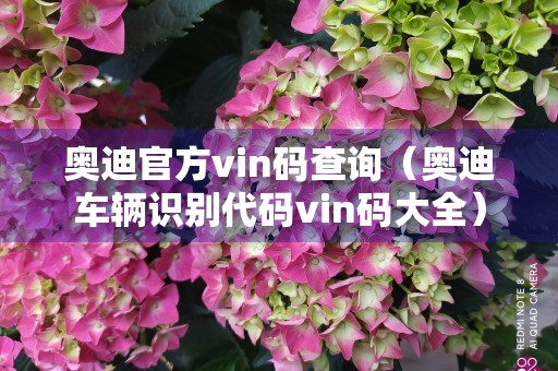 奥迪官方vin码查询（奥迪车辆识别代码vin码大全）