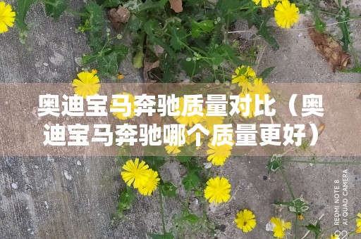 奥迪宝马奔驰质量对比（奥迪宝马奔驰哪个质量更好）