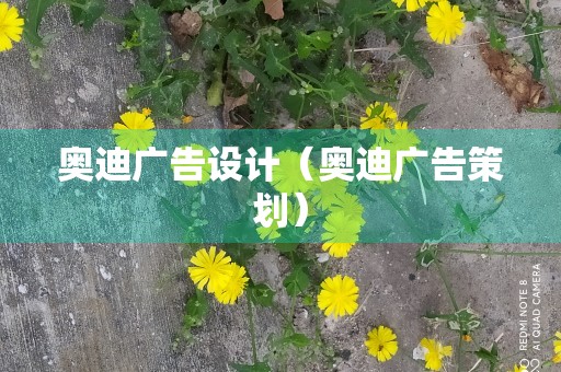 奥迪广告设计（奥迪广告策划）