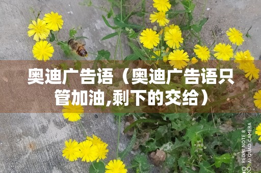 奥迪广告语（奥迪广告语只管加油,剩下的交给）