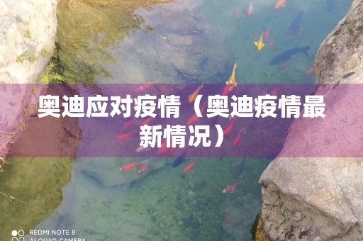 奥迪应对疫情（奥迪疫情最新情况）