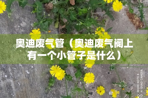 奥迪废气管（奥迪废气阀上有一个小管子是什么）