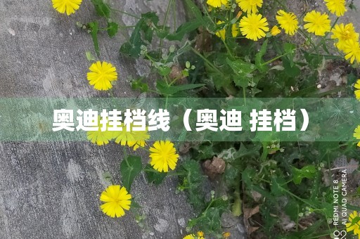 奥迪挂档线（奥迪 挂档）