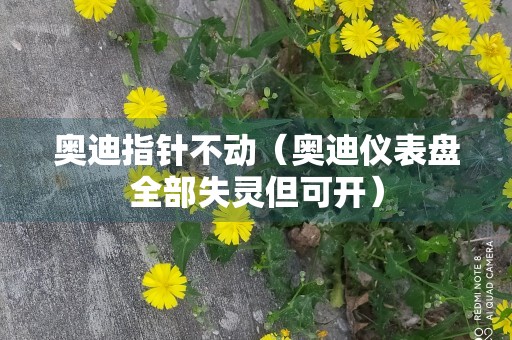 奥迪指针不动（奥迪仪表盘全部失灵但可开）