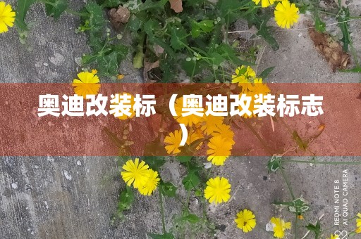 奥迪改装标（奥迪改装标志）