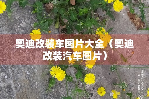 奥迪改装车图片大全（奥迪改装汽车图片）