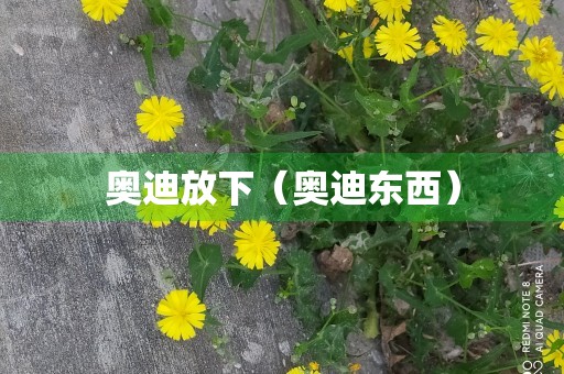 奥迪放下（奥迪东西）