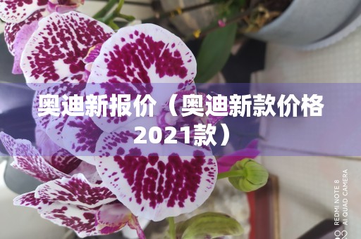 奥迪新报价（奥迪新款价格2021款）