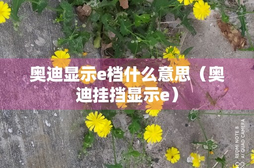 奥迪显示e档什么意思（奥迪挂挡显示e）