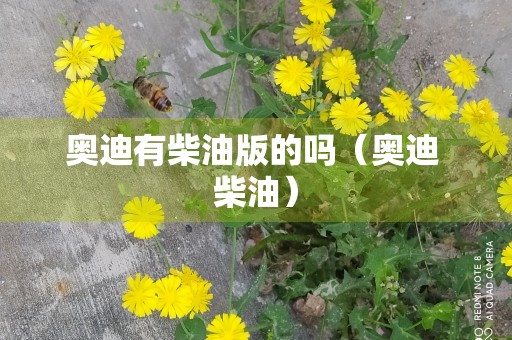 奥迪有柴油版的吗（奥迪 柴油）