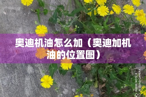 奥迪机油怎么加（奥迪加机油的位置图）