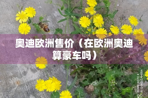 奥迪欧洲售价（在欧洲奥迪算豪车吗）