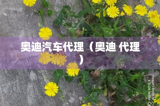 奥迪汽车代理（奥迪 代理）